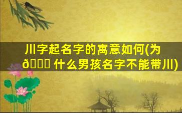川字起名字的寓意如何(为 🕊 什么男孩名字不能带川)